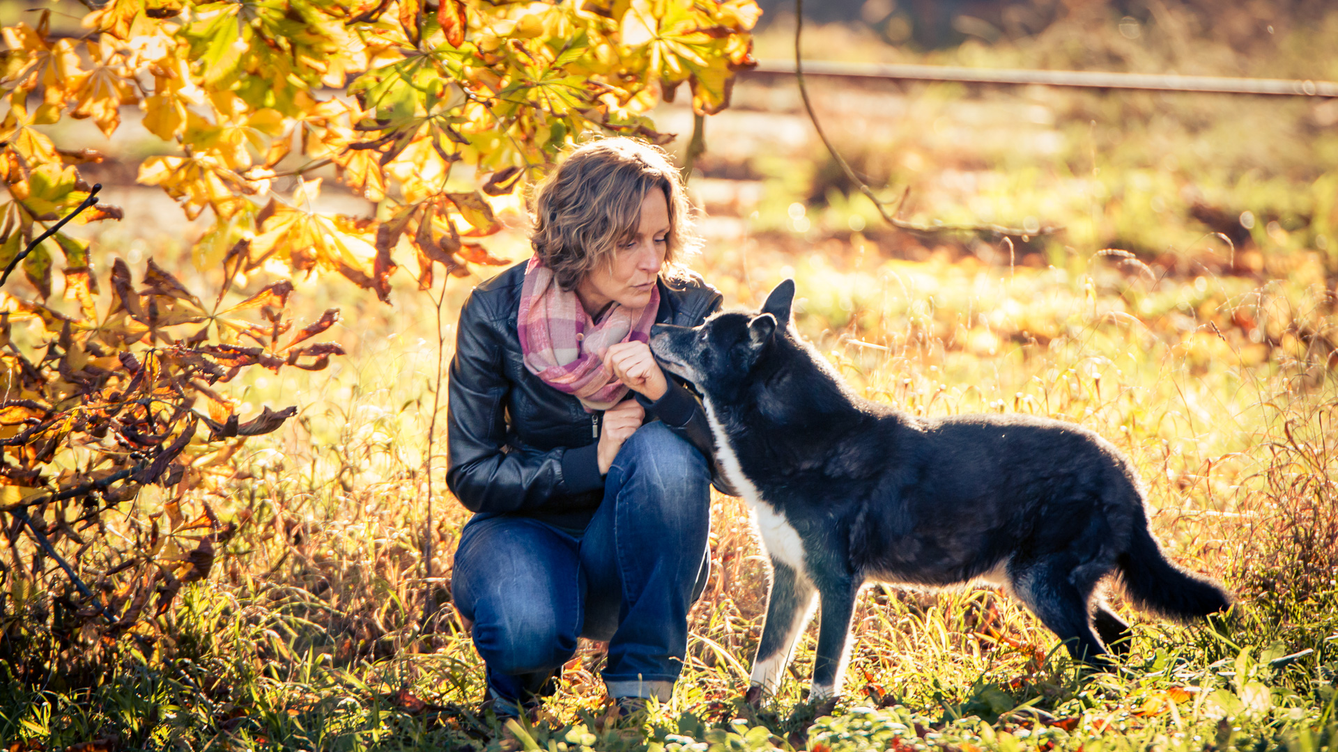 Hunde Lachen